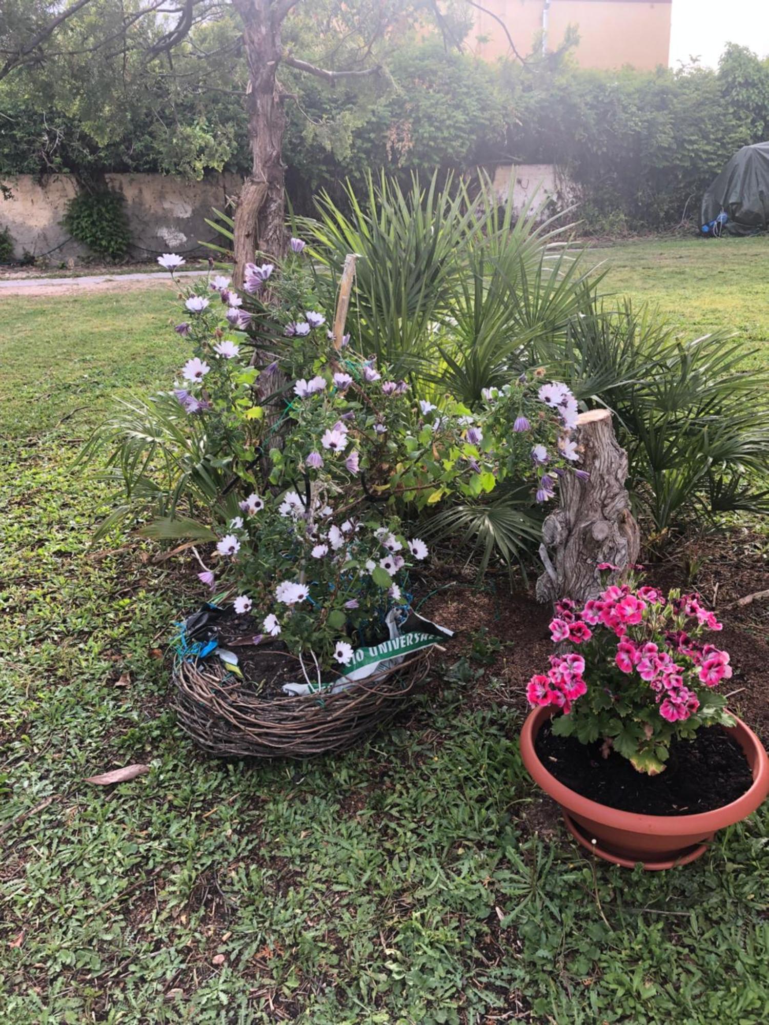 La Lantana Nuova Panzió Flumini di Quartu Kültér fotó